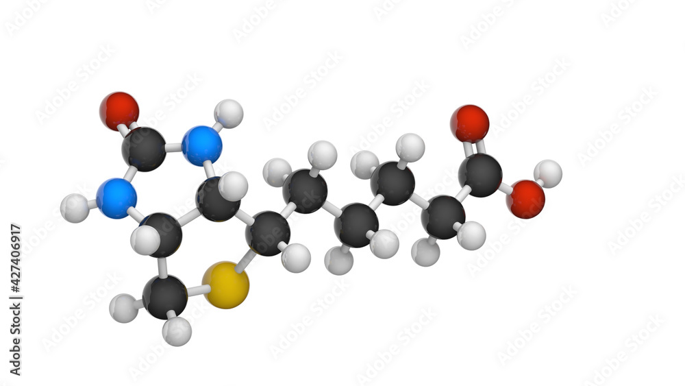Molecular structure of Vitamin B7(biotin). Also known as Vitamin H. 3D illustration. Chemical structure model: Ball and Stick. Isolated on white background.