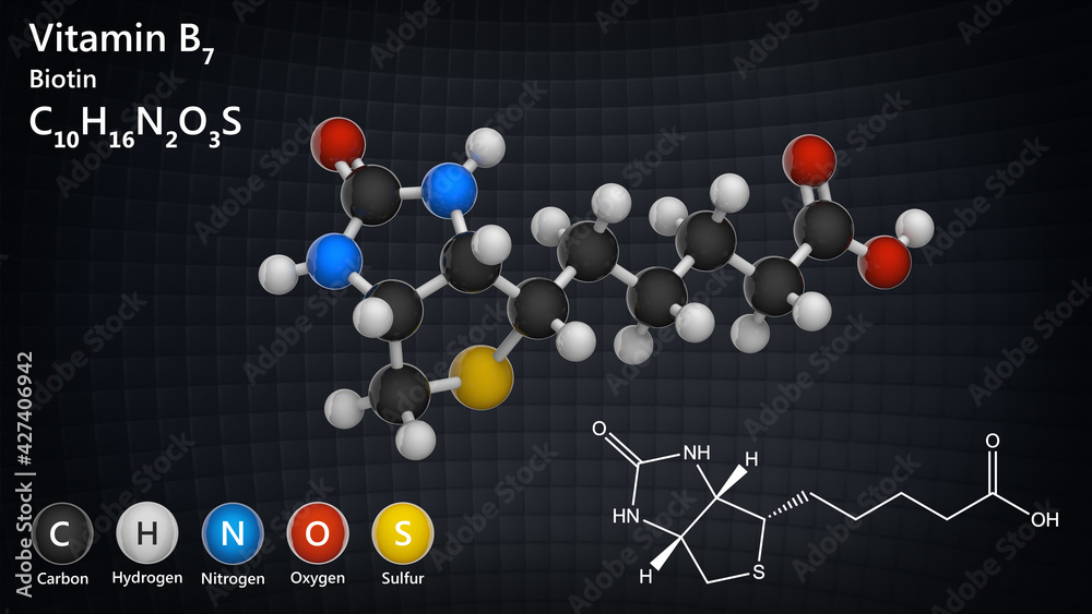 Molecular structure of Vitamin B7(biotin). Also known as Vitamin H. 3D