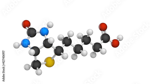 Molecular structure of Vitamin B7(biotin). Also known as Vitamin H. 3D illustration. Chemical structure model: Ball and Stick. Isolated on white background. photo