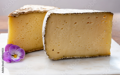 Cheese collection, Tomme de Savoie cheese from Savoy region in French Alps,  mild cow's milk cheese with beige interior and thick brownish-grey rind photo