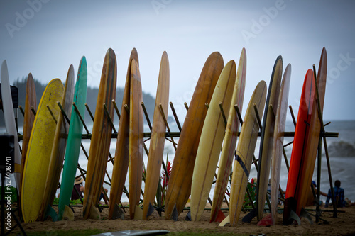bunch of vintage surf boards