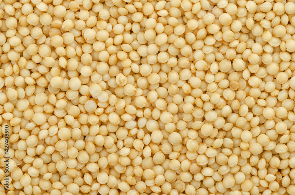Amaranth grain, closeup. Amaranthus seeds, a gluten free pseudocereal