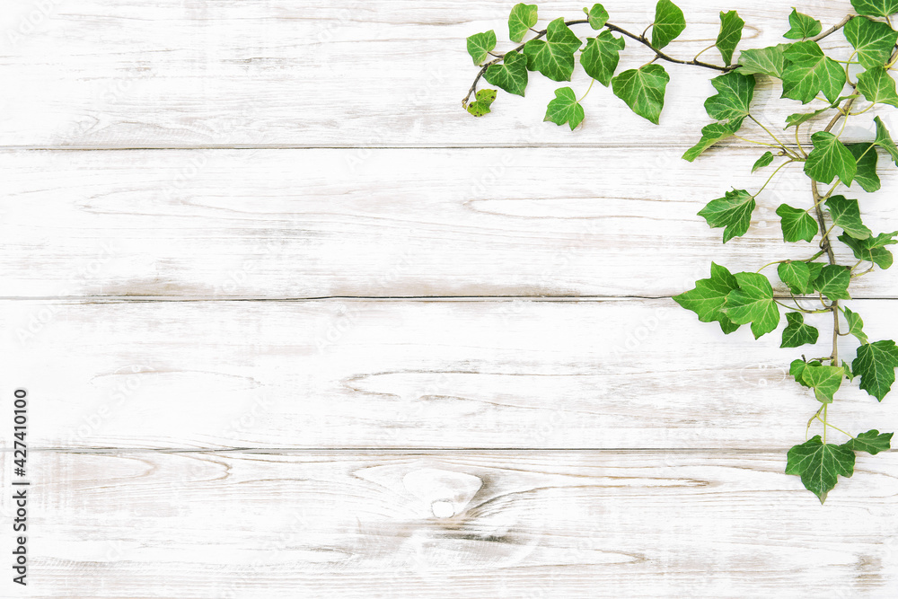Green plants bright wooden texture. Floral background Green plants bright wooden texture. Floral background