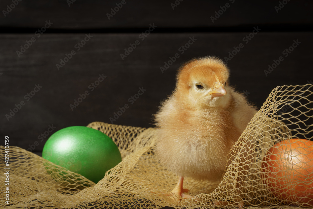 little chickens with easter eggs on a dark wooden