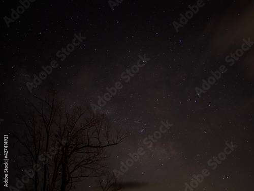 starry night sky © chartreuse