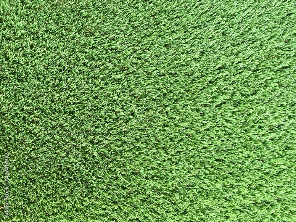 green grass background green grass background