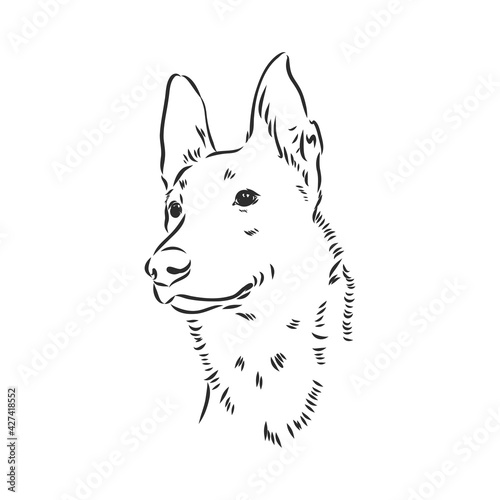 Decorative portrait of standing in profile Belgian Shepherd Groenendael, vector isolated illustration in black color on white background