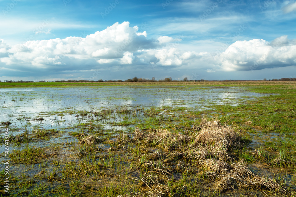 Flooded meadow and clouds on the sky, Czulczyce, Lubelskie, Poland