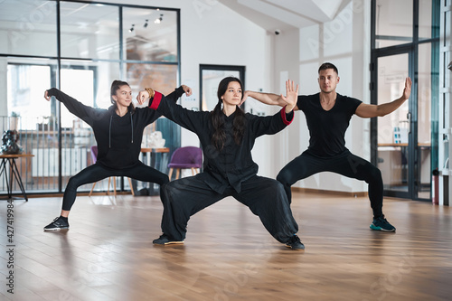 Konstfotografi Tai chi students with teacher training single whip form