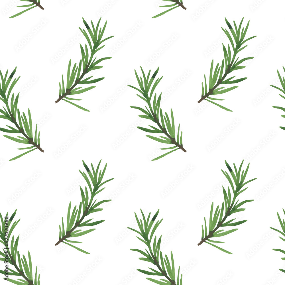 Watercolor illustration. Rosemary seamless pattern.