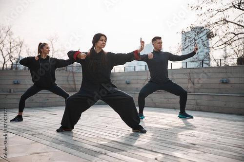 Obraz na płótnie Lesson of tai chi form on outside area