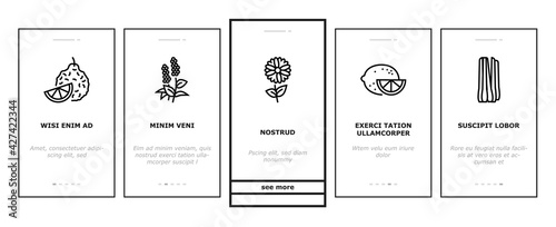 Aromatherapy Herbs Onboarding Mobile App Page Screen Vector. Lavender And Peppermint, Ginger And Frankincense, Patchouli And Chamomile Aromatherapy Illustrations