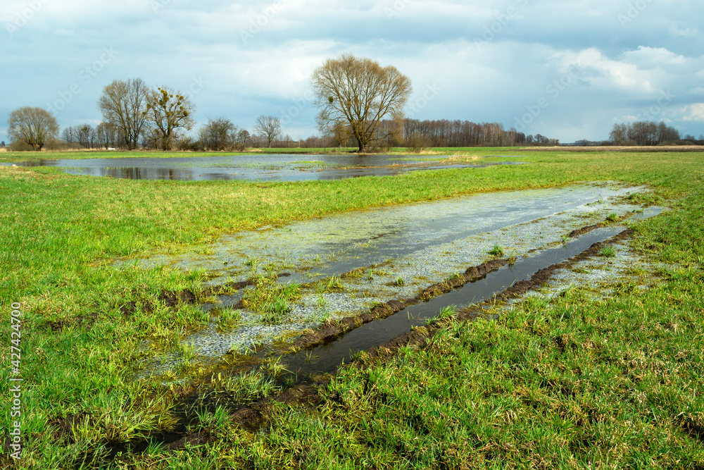 Fototapeta premium Water after winter on a green meadow and cloudy sky