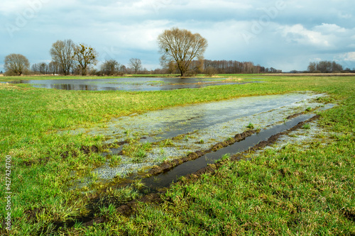 Water after winter on a green meadow and cloudy sky