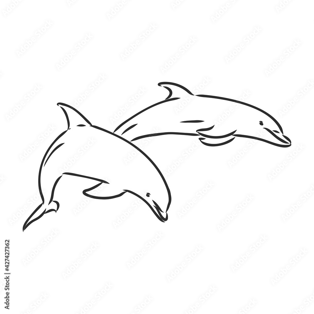Fototapeta premium simple dolphin silhouette dolphin, vector sketch on a white background