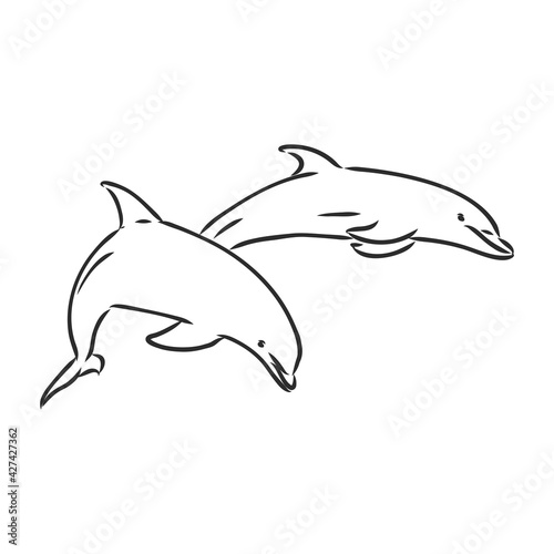 simple dolphin silhouette dolphin  vector sketch on a white background