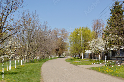 spring in Backi Petrovac, Vojvodina © Jana