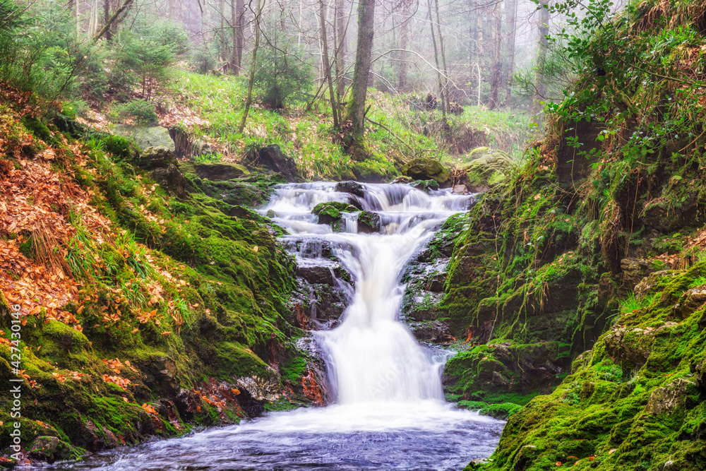 Obraz premium Romantischer Wasserfall auf der Hoegne im Hohen Venn