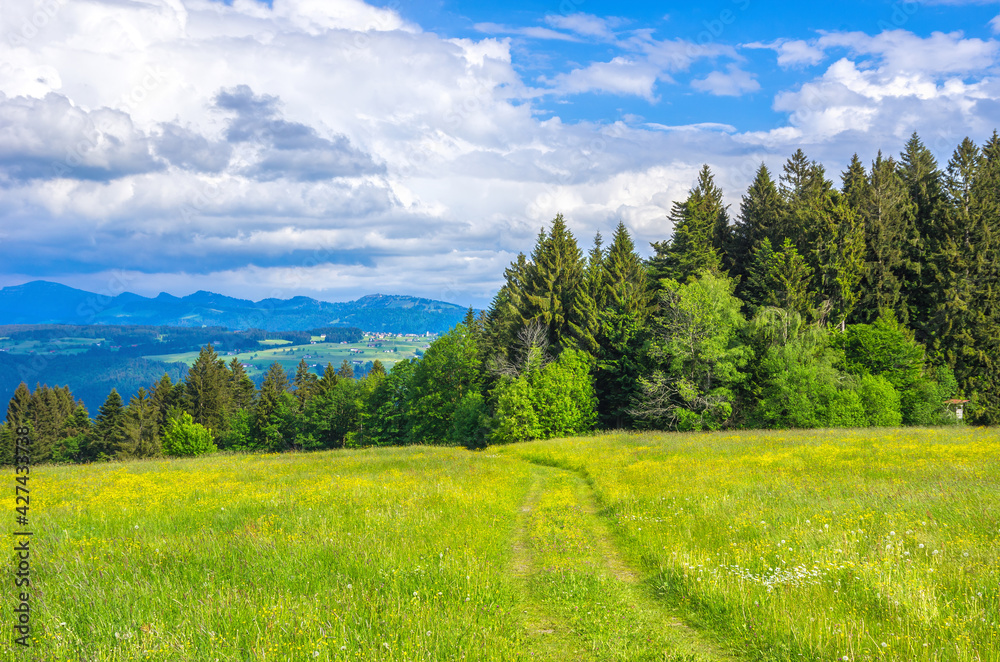Allgäu Landscape near Scheidegg, Bavaria, Germany