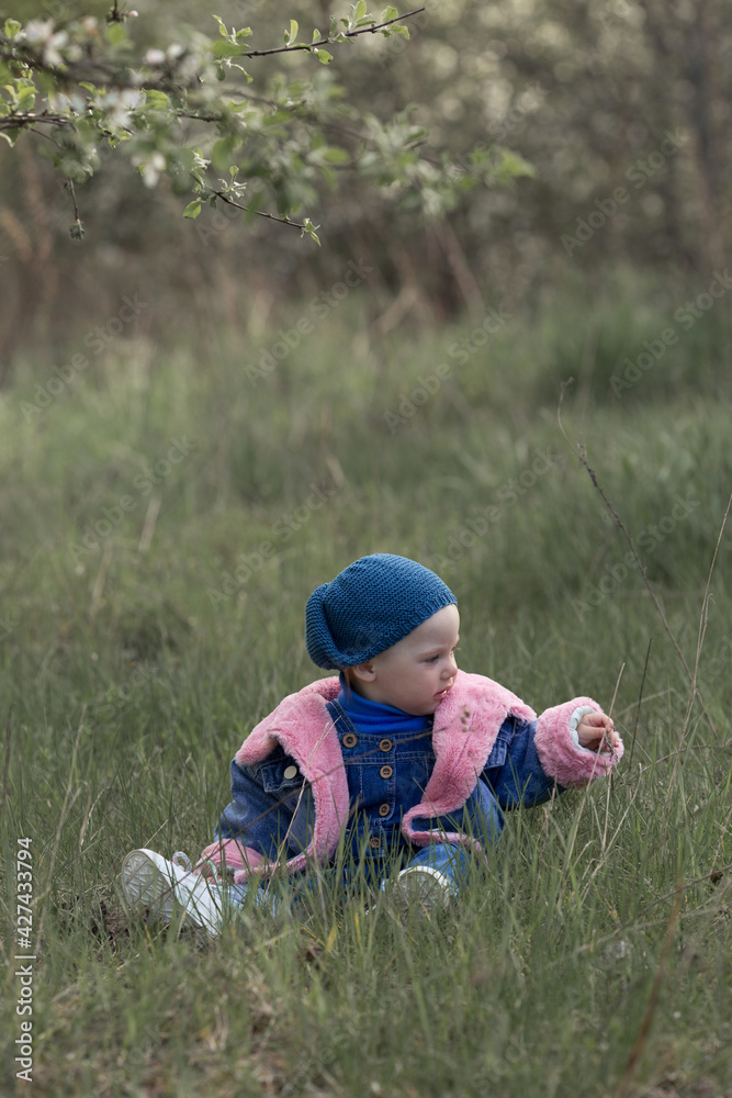 a small child in blue and pink clothes sits on the green grass and examines a blade of grass a small child in blue and pink clothes sits on the green grass and examines a blade of grass