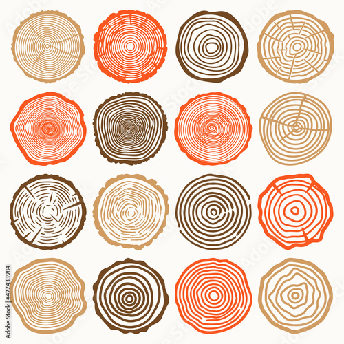 Tree Rings Vector Collection
