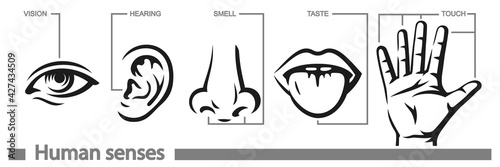 Five human senses icons set. Vision hearing smell touch taste signs