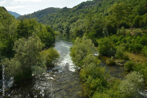 Cetina is the most water rich river in Dalmatia in southern Croatia and cuts through a beautiful forest