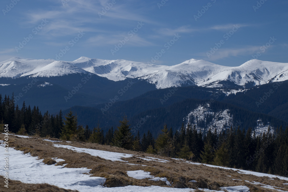 Carpathians, Montenegrin ridge in the snow Carpathians, Montenegrin ridge in the snow
