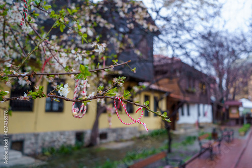 Martenitza on a tree, Bulgarian springtime tradition photo