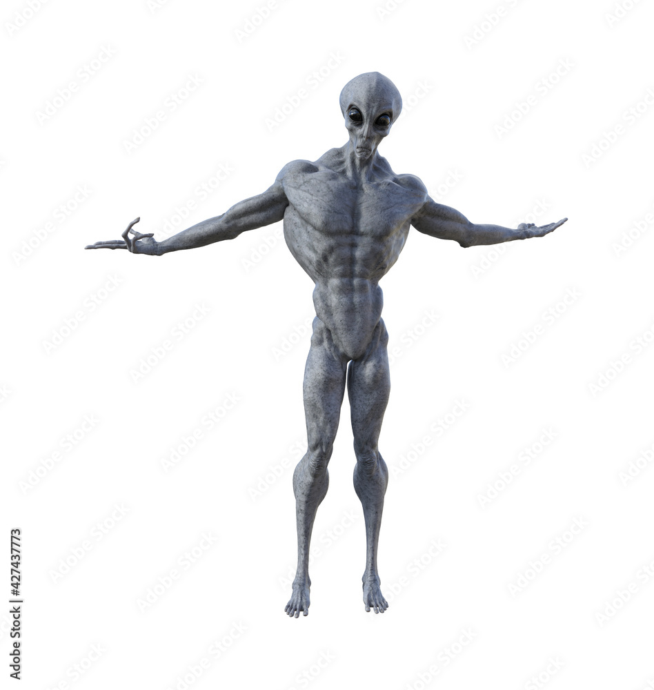 Illustration of a muscled gray alien standing with arms outstretched in a whatever pose Illustration of a muscled gray alien standing with arms outstretched in a whatever pose