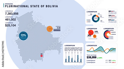 Detail infographic vector illustration. Map of Bolivia and Infographic elements - bar and line charts, percents, pie charts. Dashboard theme.