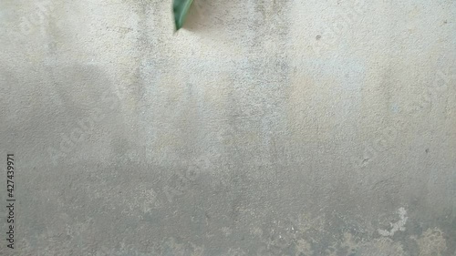 concrete wall background