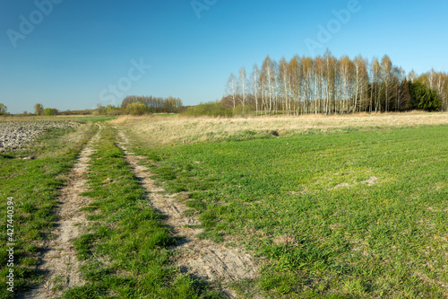 Dirt road in the field and blue sky © darekb22