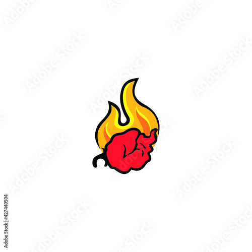 red hot chili with hot flaming fire illustration, 
perfect for companies or brands that deal with spicy food