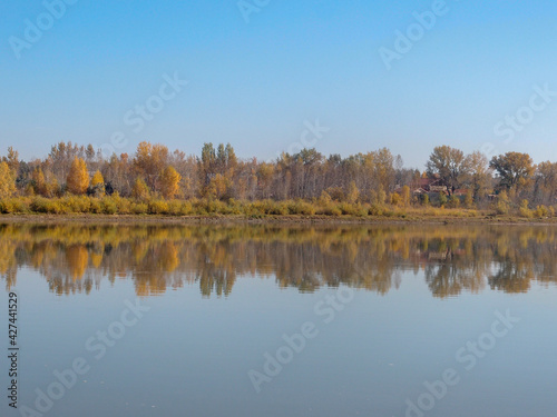 View of the autumnal bank of the Irtysh River in the Omsk Region.
