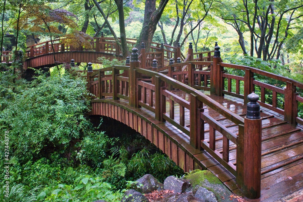 Fototapeta premium 熱海梅園