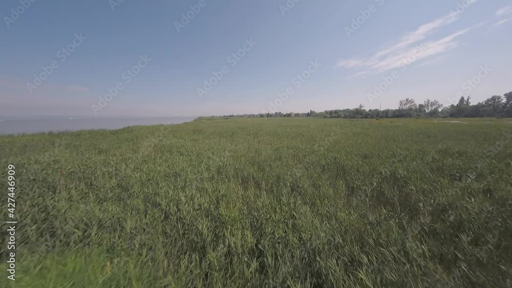 aerial view of lake Neusiedlersee