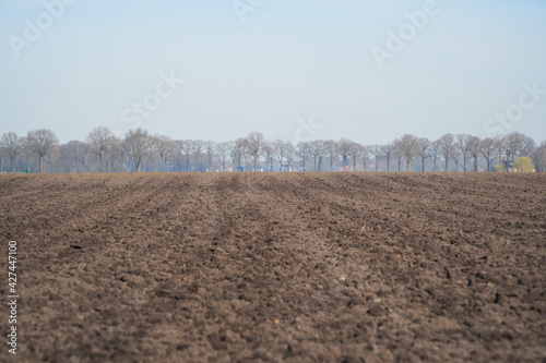 Rolling and cultivated farmland which has been prepared for sowing or planting crops