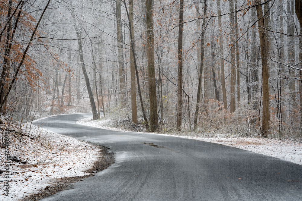 Dirt Road in Forest in Snowfall