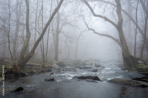 Foggy Winter Morning and River in the Forest