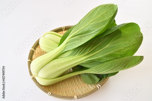 Foto 青梗菜2