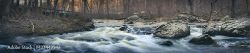 Panorama of River in the Forest