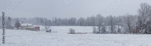 Wallpaper Mural Panorama of Snow Covered Farmland and Forest Torontodigital.ca