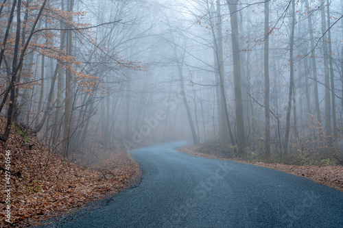 Stone Road on Foggy Winter Morning © World Travel Photos