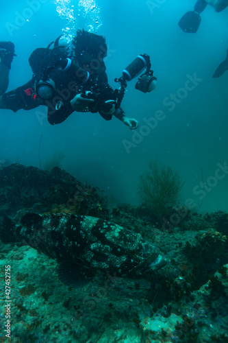 Wallpaper Mural Thailand. 04-12-2021.local tourist. scuba diver. Torontodigital.ca