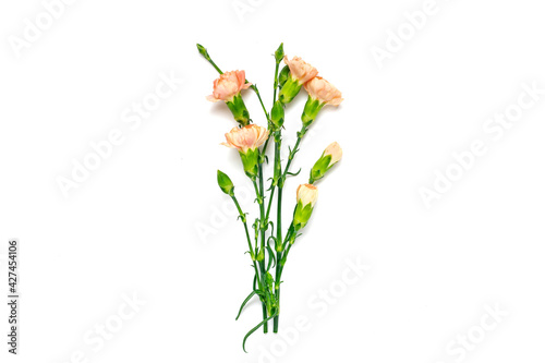 Fototapeta Naklejka Na Ścianę i Meble -  bouquet of pink carnation flower isolated on white background Top view Flat lay Holiday card 8 March, Happy Valentine's day, Mother's, Memorial, Teacher's day concept Copy space