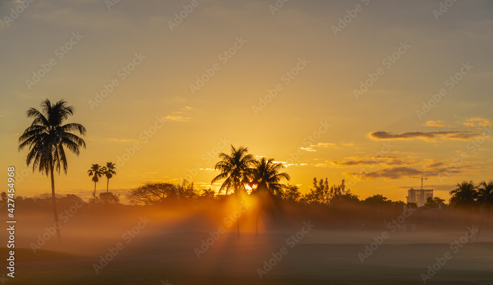 sunset tropical Miami Florida usa palms sun sky color orange beautiful place 