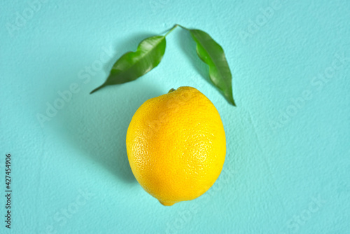 fresh yellow lemon with green branch with leaves. turquoise background