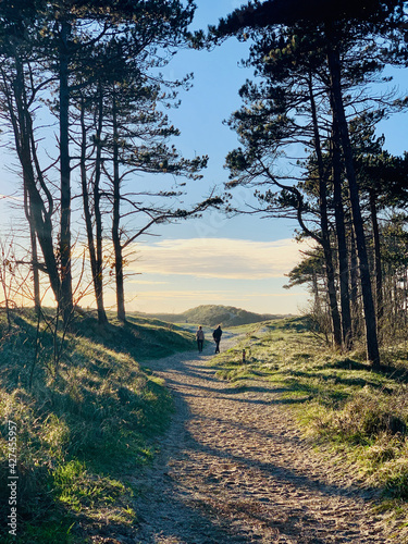 Old couple walking all alone through an opening in the woods towards a grassy hill late in the evening