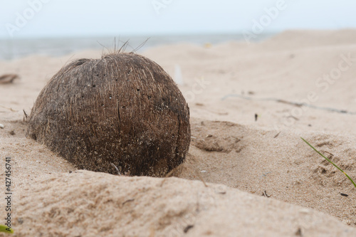 coconut on beach texture background.